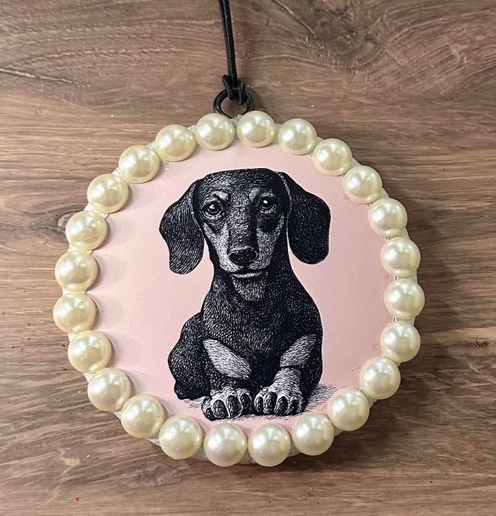 Dachshund- Dr. Peppa