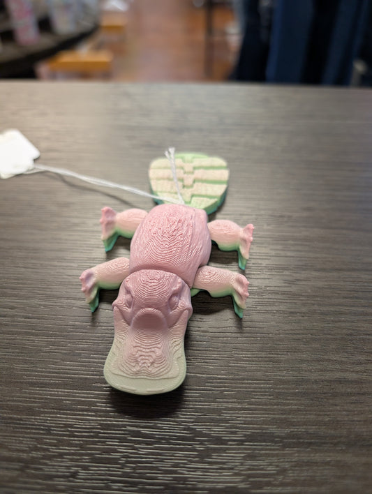 3D Platypus