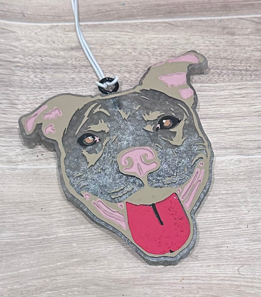 Pitbull- Cozy Flannel