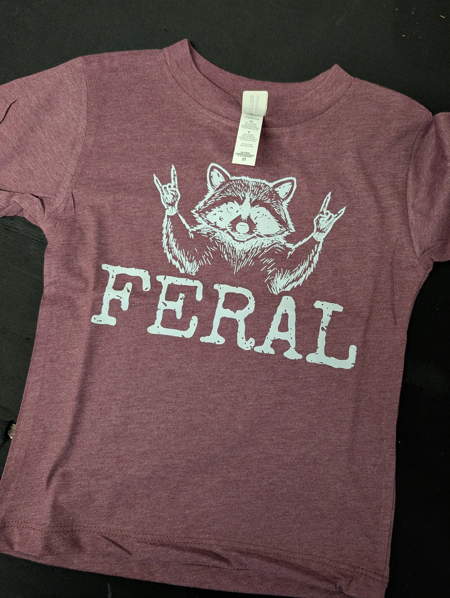 Feral - Racoon