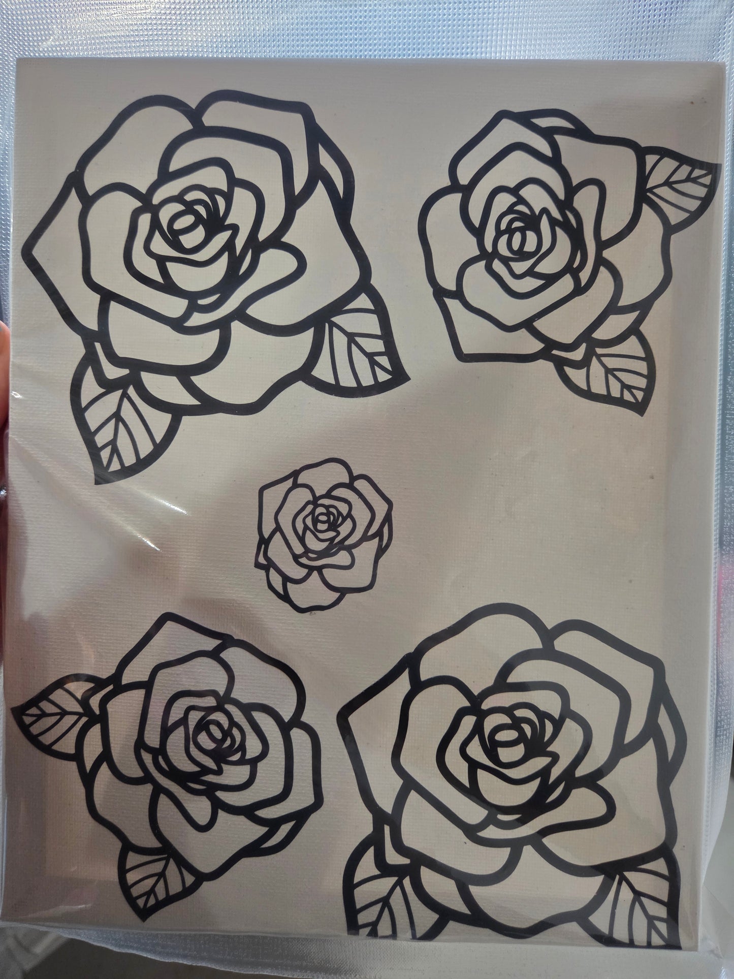 Roses 8X10