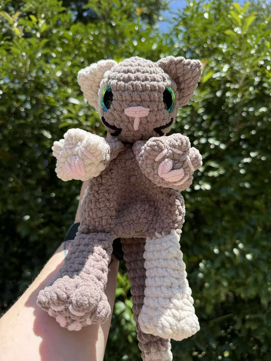 Brown Kitty