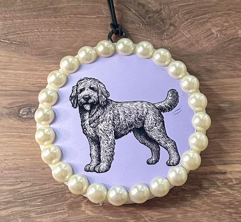 Goldendoodle- Mahogany Apple