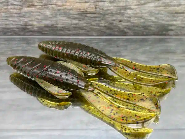 Bug 4"