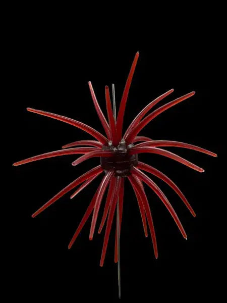 BLACK LABEL OFO 21MM
