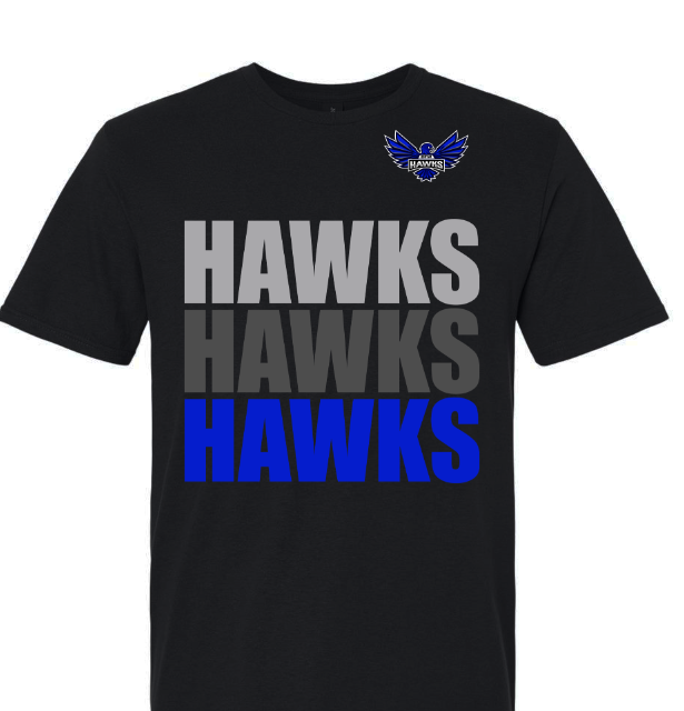 DFW Hawks - No Player