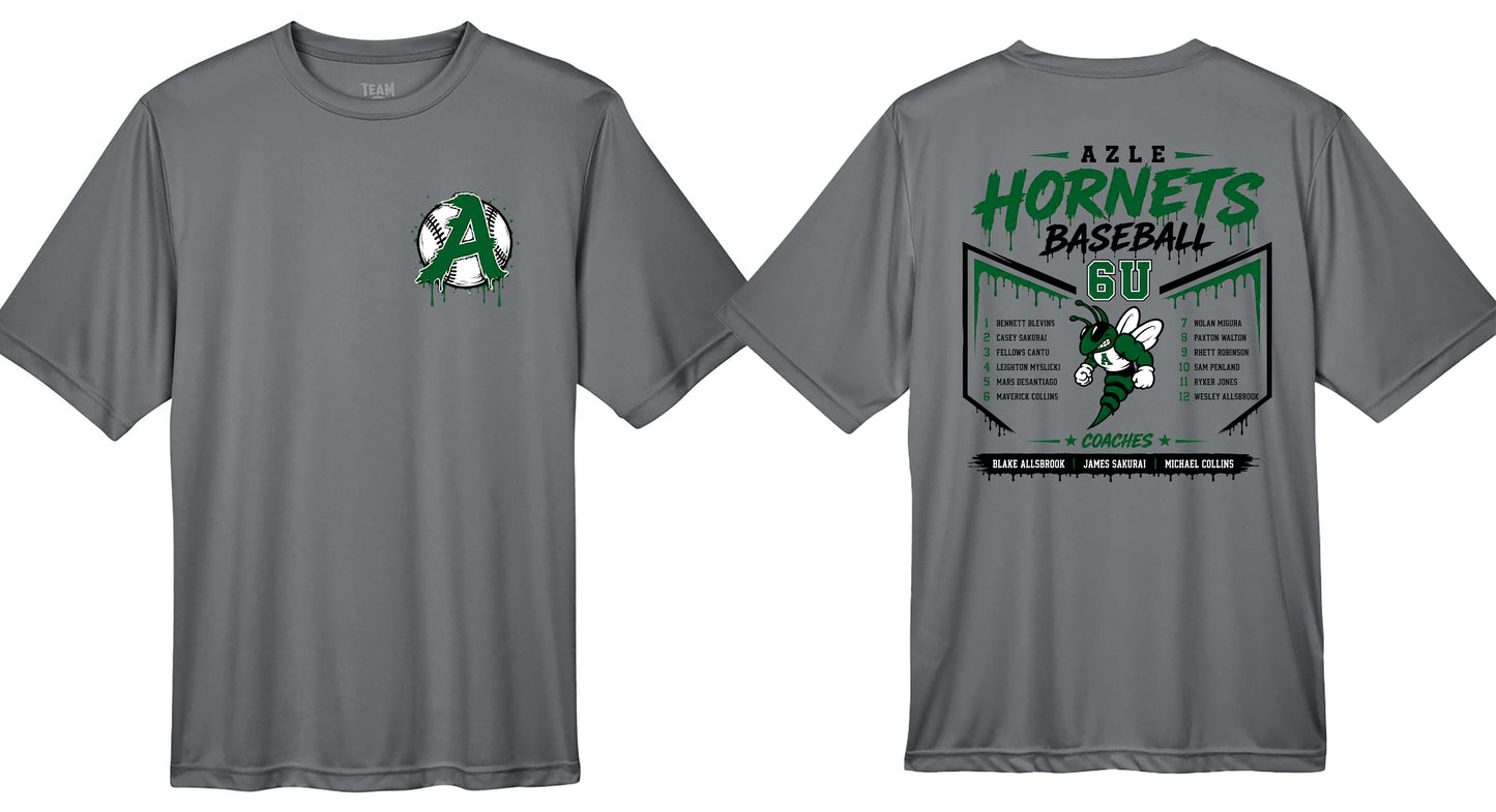*6U Hornets Baseball*