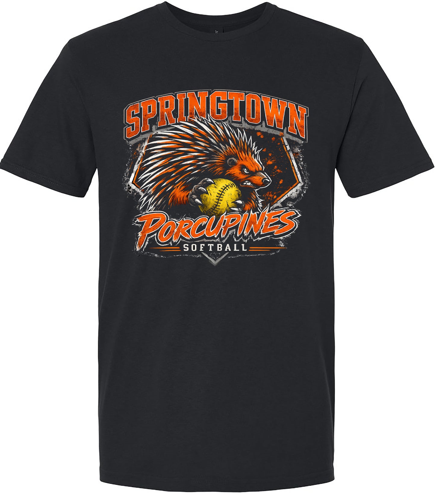 Springtown Softball 10U 2026