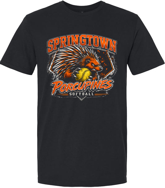 Springtown Softball 10U 2026