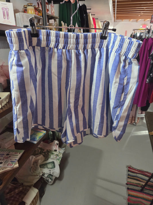 Plus Size Blue and White Shorts
