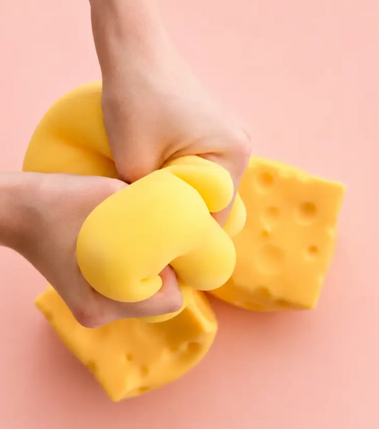 Jumbo Cheese Squishy