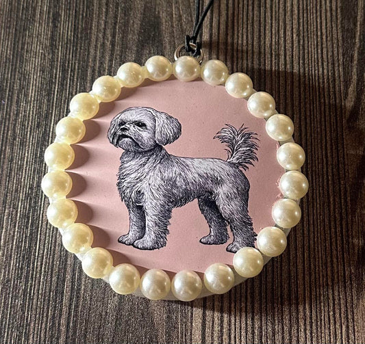 Shih Tzu- Volcano