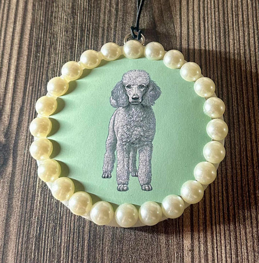 Poodle- Mama Tried