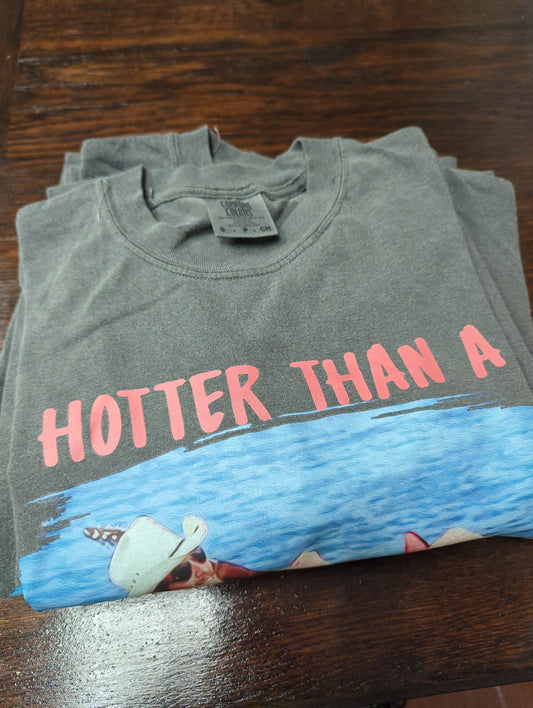 Hotter Than Hoochie Shirt CC