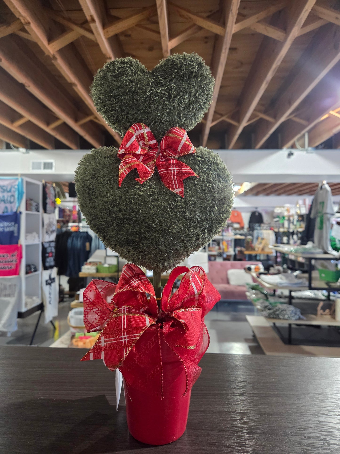 Vday Heart Plant