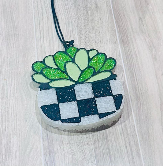 Checkered Cactus - Pina Colda
